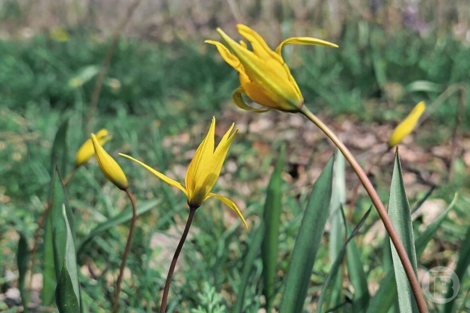    Фото: "Городские вести"