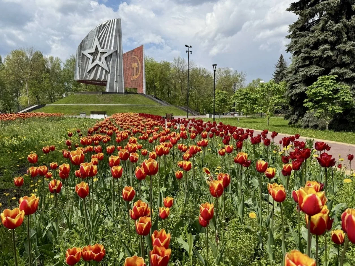    Подрядные организации, которые займутся оформлением цветников, уже определены