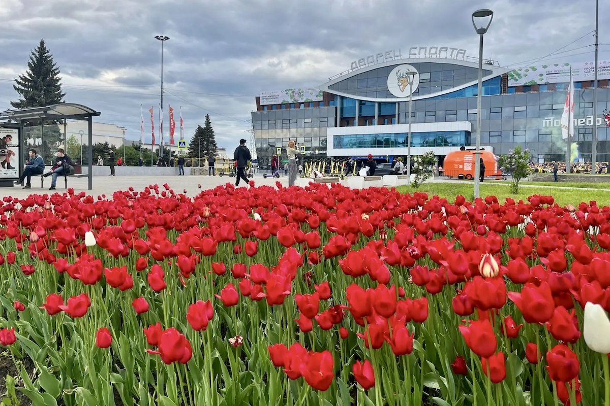    Социальные сети Юрия Шалабаева