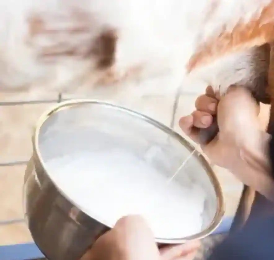 фото из просторов интернета