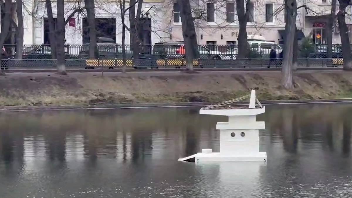    Фото: Скриншот ТАСС