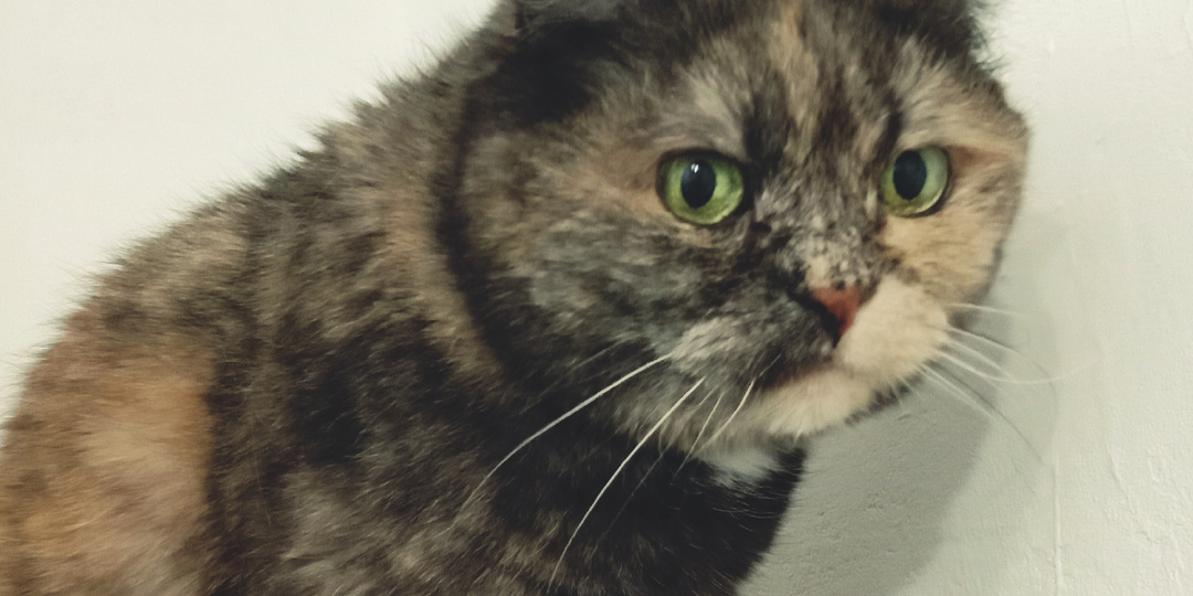 Этот день я запомню надолго, и не потому, что он был хорошим