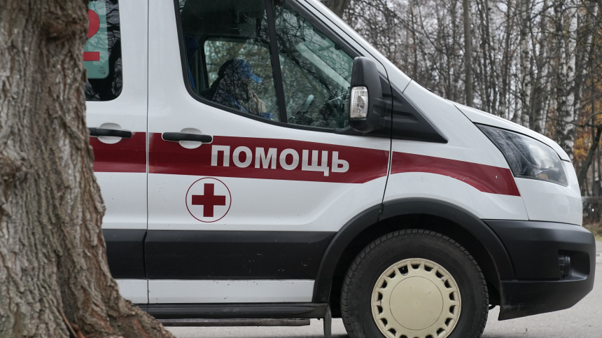    Фото: ИЗВЕСТИЯ/Эдуард Корниенко; 5-tv.ru