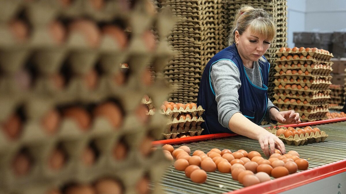    Фото: ИЗВЕСТИЯ/Эдуард Корниенко