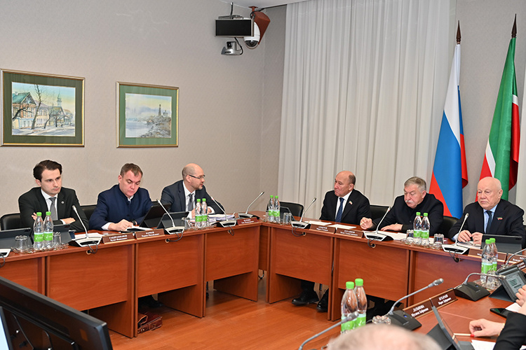    Очередь дошла до комитета по экономике, инвестициям и предпринимательству.   
Фото:  gossov.tatarstan.ru