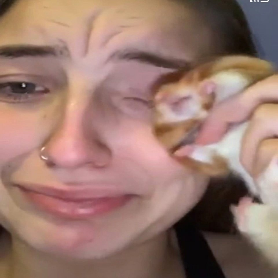 это я и мой хомяк