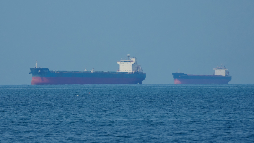    Фото: ИЗВЕСТИЯ/Дмитрий Коротаев