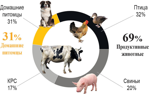 Рис. 1. Структура ВетЛП в России по группам животных

Источник: ГК «ВИК», анализ «АгроИнсайт»