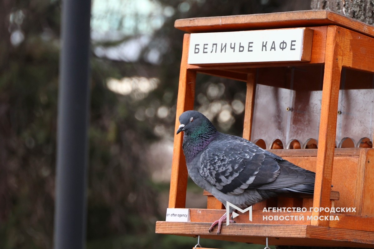 Фотограф: Ярослав Чингаев