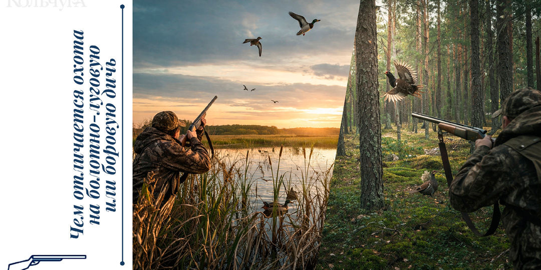 Чем отличается охота на болотно-луговую и боровую дичь?