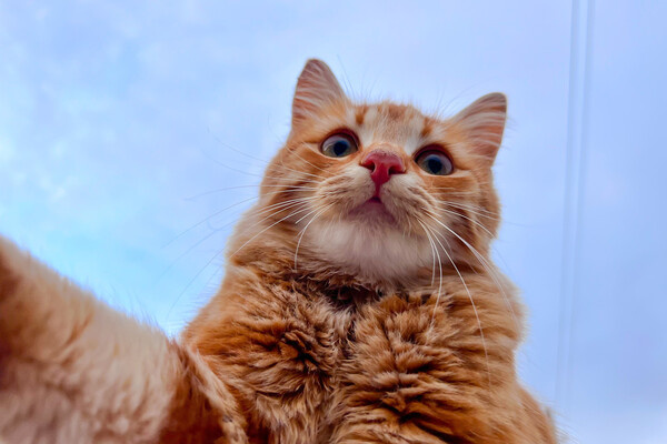 evriminci/Shutterstock/FOTODOM   📷