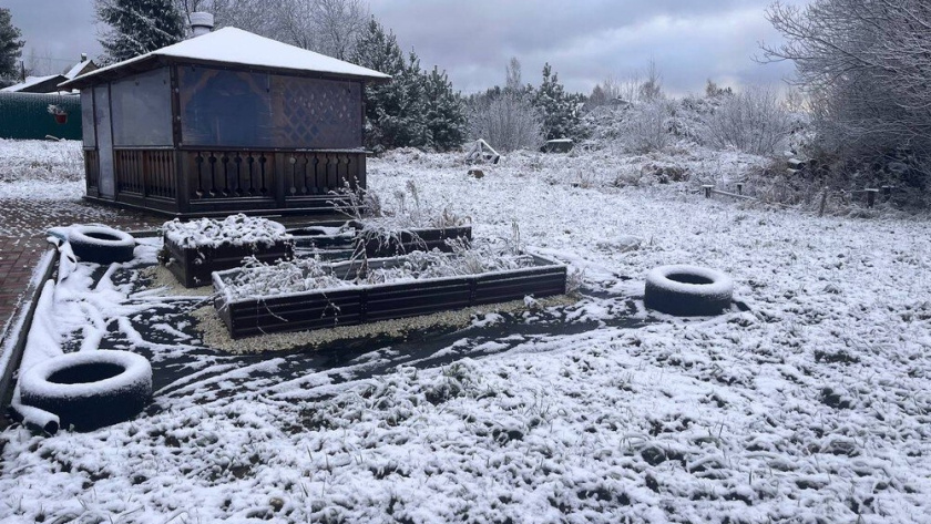    из архива редакции