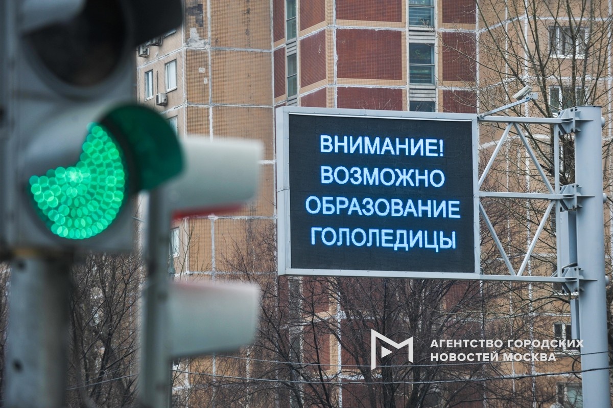 Фотограф: Александр Авилов