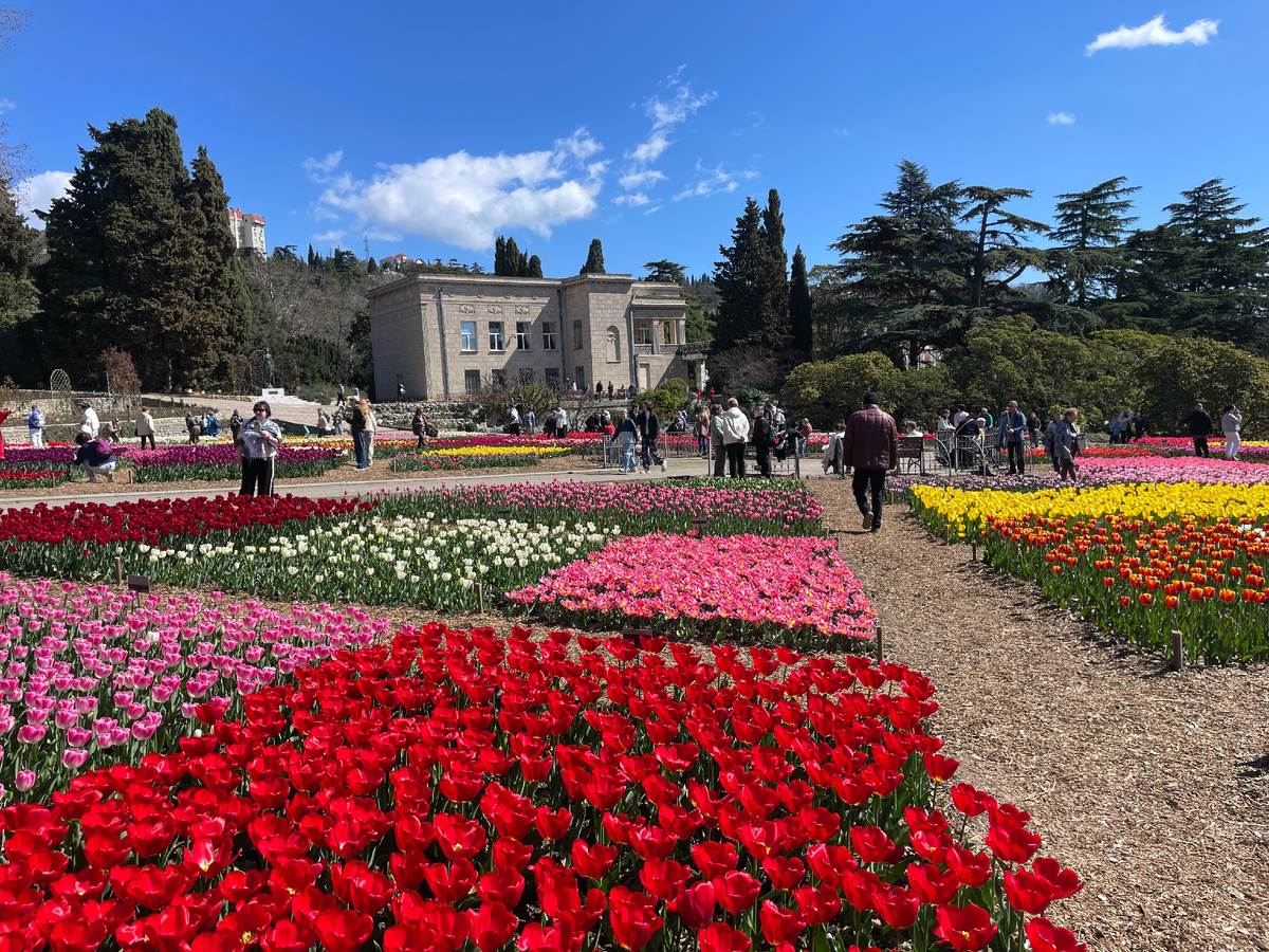 Парад Тюльпанов в Никитском Ботаническом Саду
