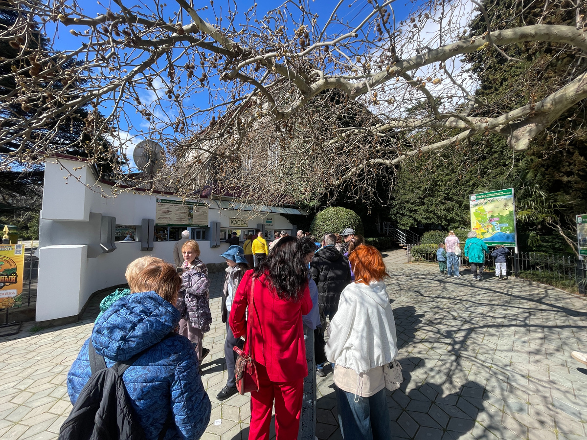 Очередь в кассу Никитского Ботанического Сада