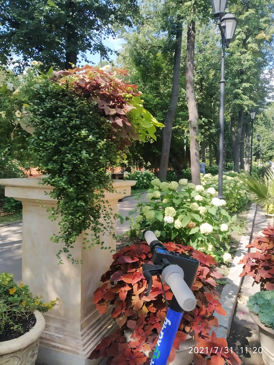 Парк Горького