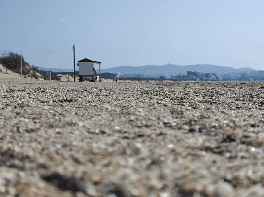    Фото: Юрий Серебренников/BFM Кубань