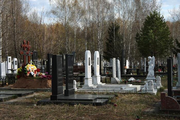 Обложка © Shutterstock / FOTODOM / Baba Mora