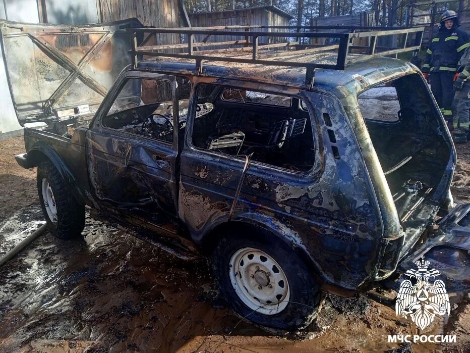 фото: МЧС по Вологодскоой области