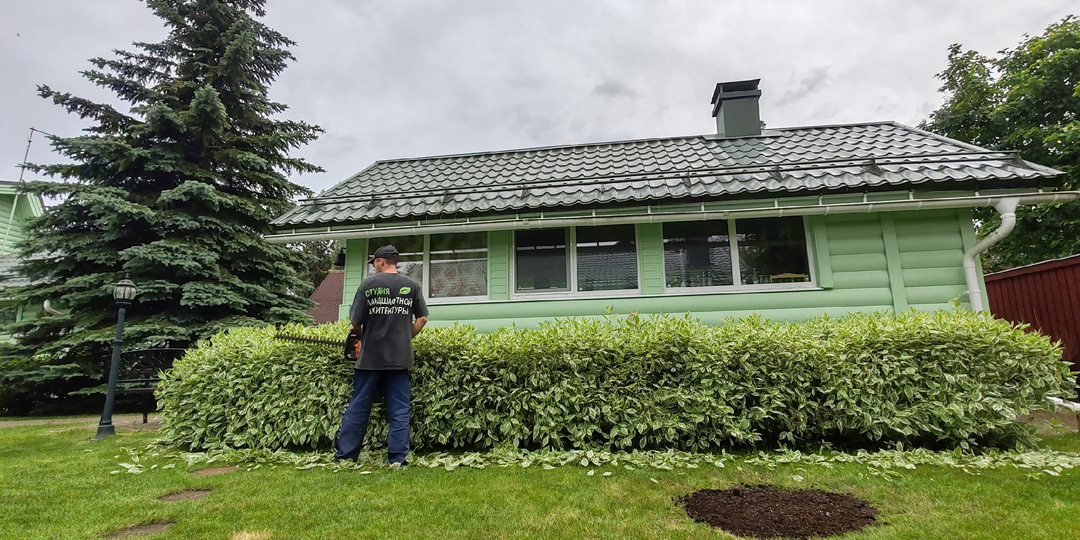 Круг длиной в 12 лет: Почему в «Сады Шалимовых» возвращаются лучшие