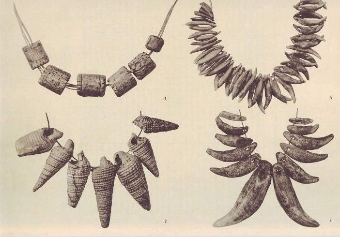 Фотография из открытых источников, Яндекс картинки.