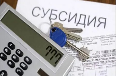 фото: lub.msr.mosreg.ru