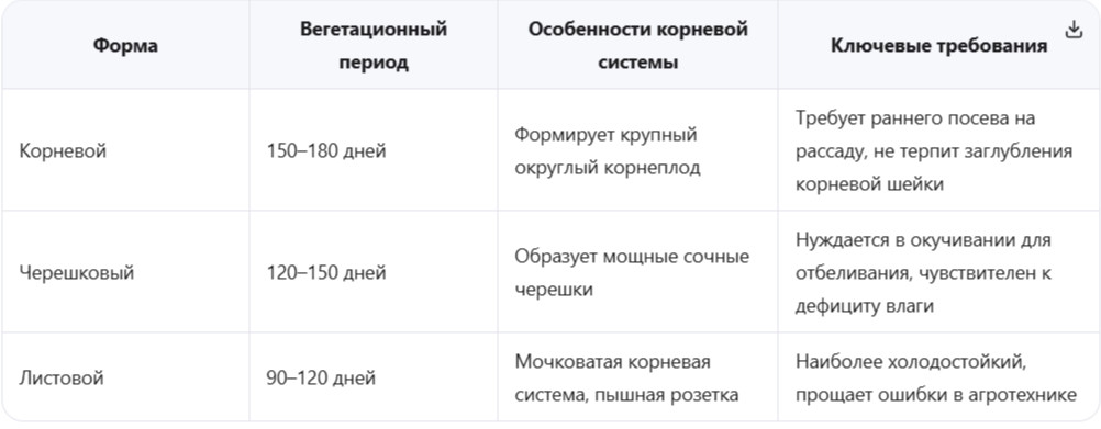 Три формы сельдерея и их агротехнические различия
