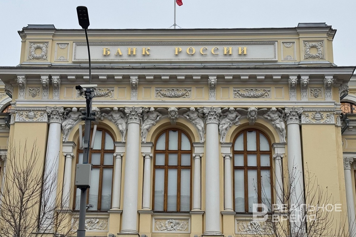   Дарья Пинегина / realnoevremya.ru