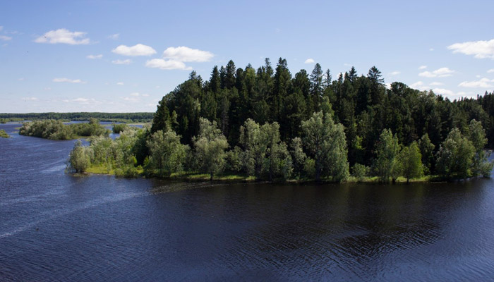 Идея поворота сибирских рек на юг не умерла. Фото: 1MI