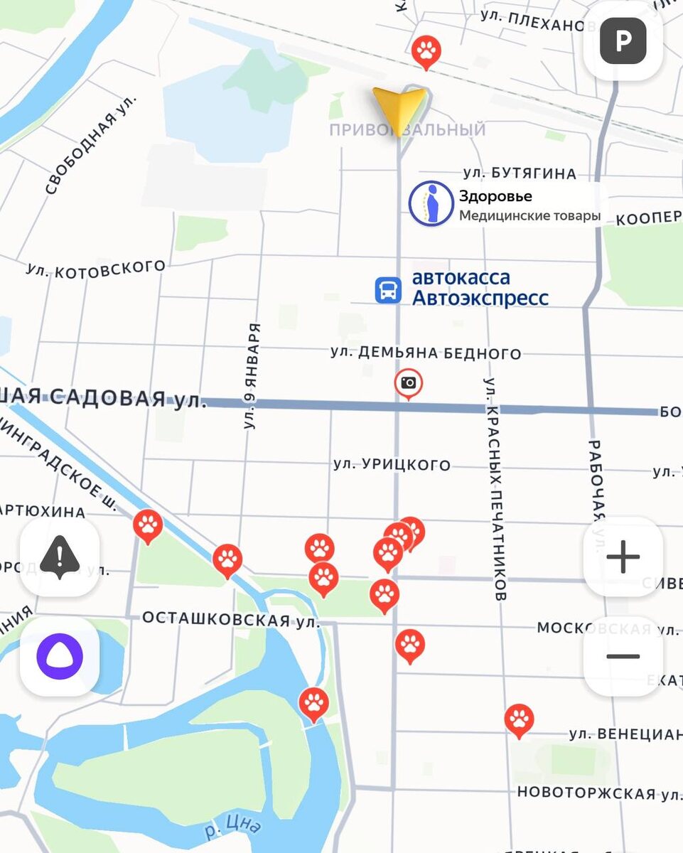 Волчки на карте