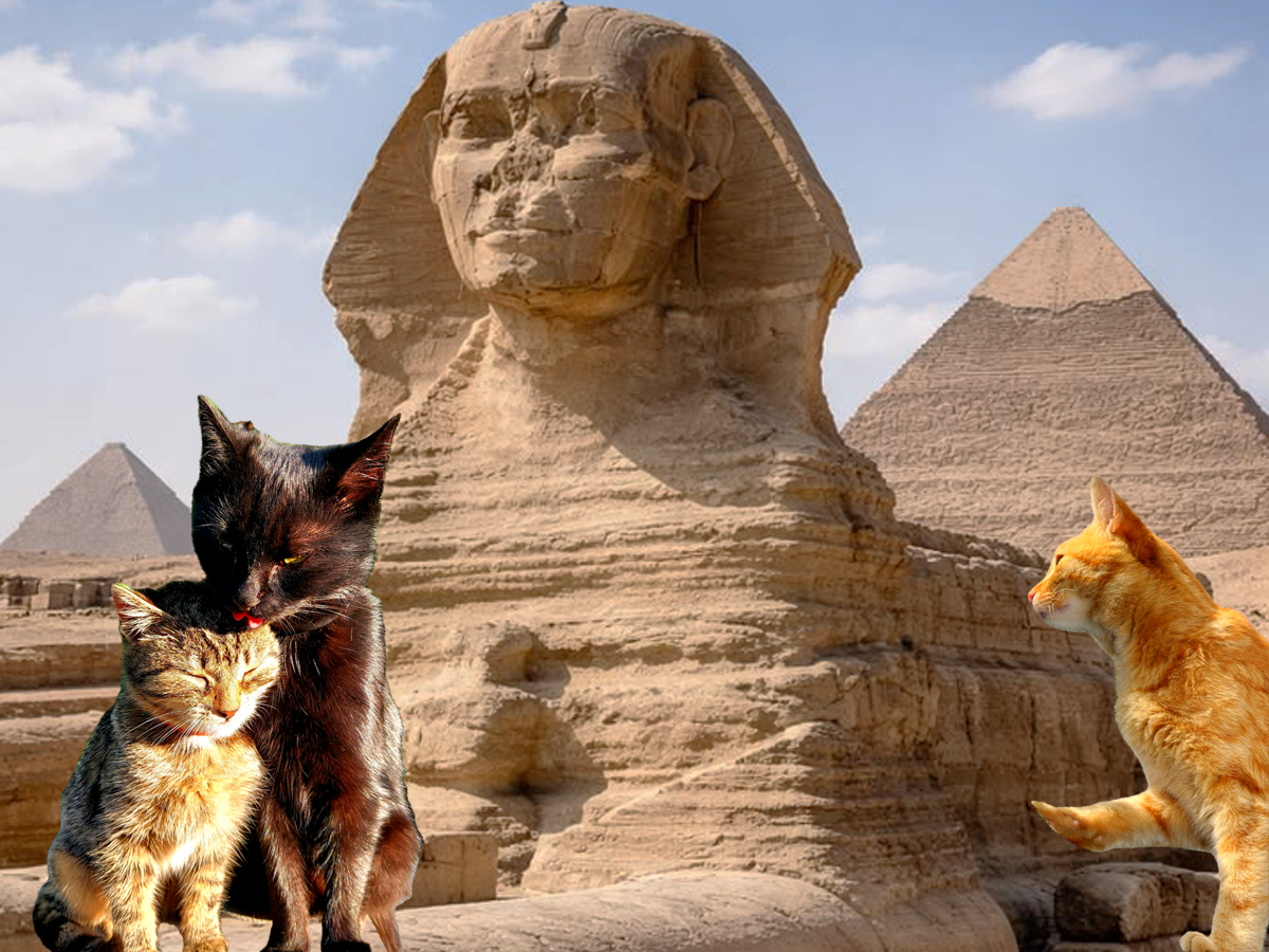 Коллаж на тему Древнего Египта и кошек