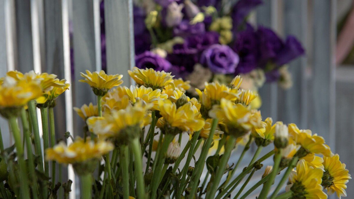 © Sputnik / Andranik Ghazaryan