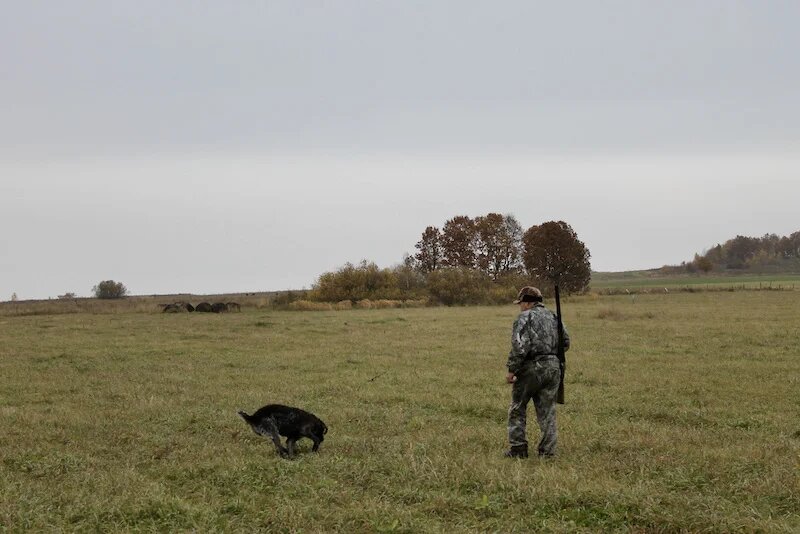 Фото: UfacityNews.ru