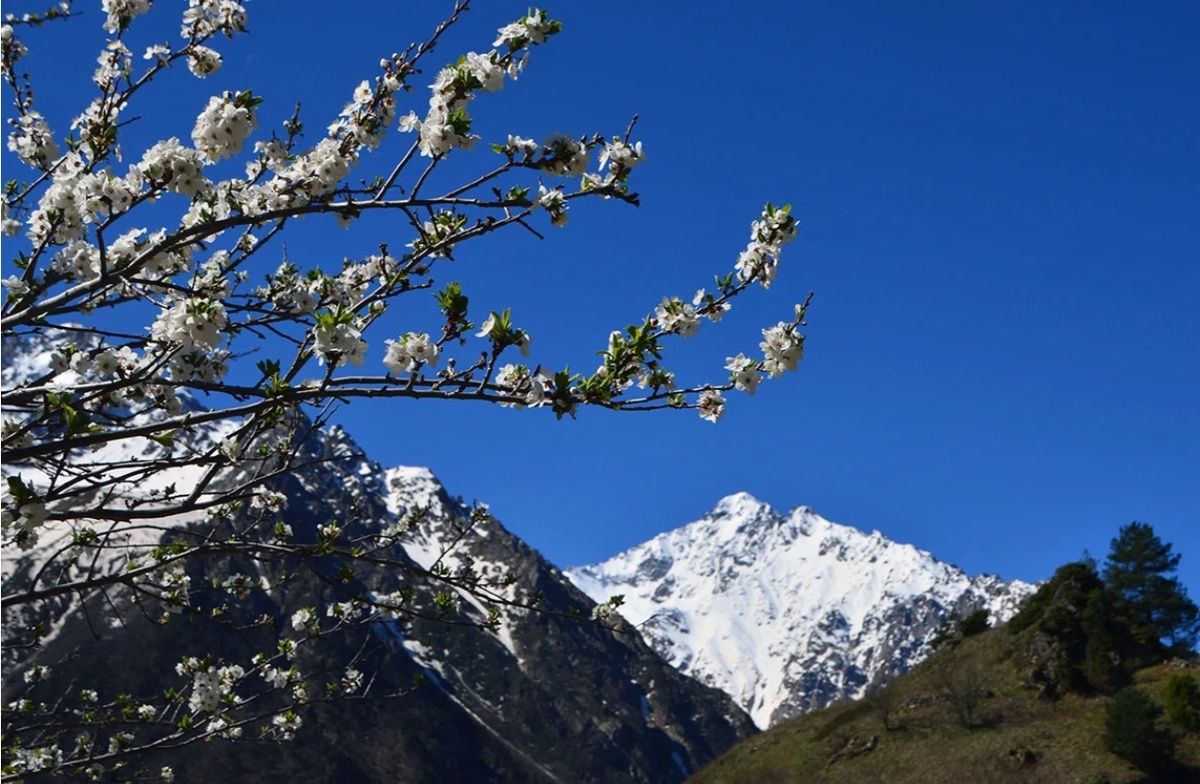 Цейское ущелье — весенний снег и солнце