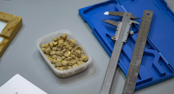     Фото предоставлено Новороссийским филиалом ЦОК АПК.