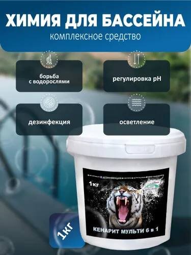 КЕНАРИТ МУЛЬТИ - многофункциональное средство для комплексной обработки воды в бассейне: дезинфекция + борьба с водорослями + улучшение