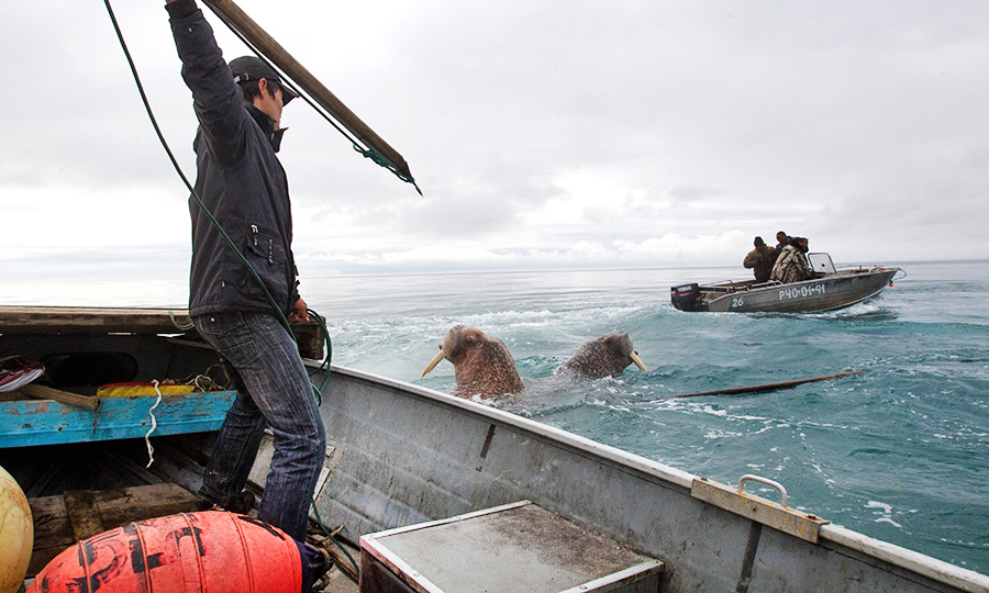    © Илья Питалев/РИА Новости