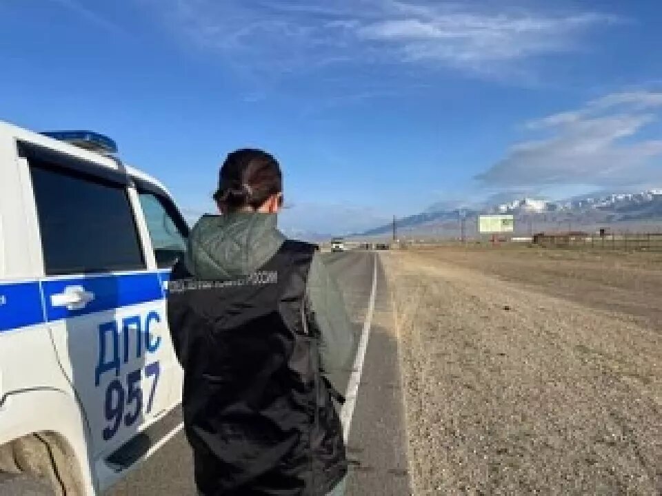    Смертельное ДТП в Кош-Агачском районе. Источник: СУ СК РФ по Республике Алтай