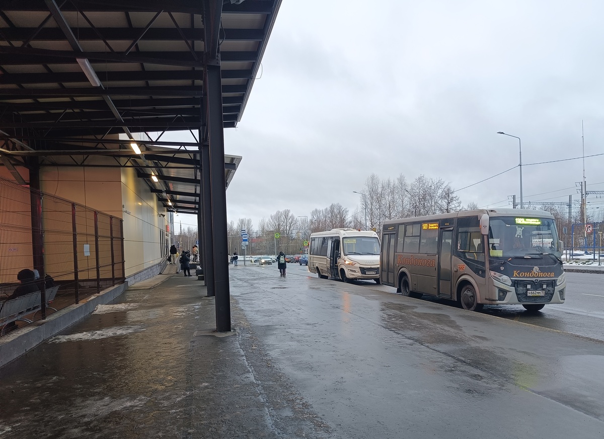    фото: © Столица на Онего