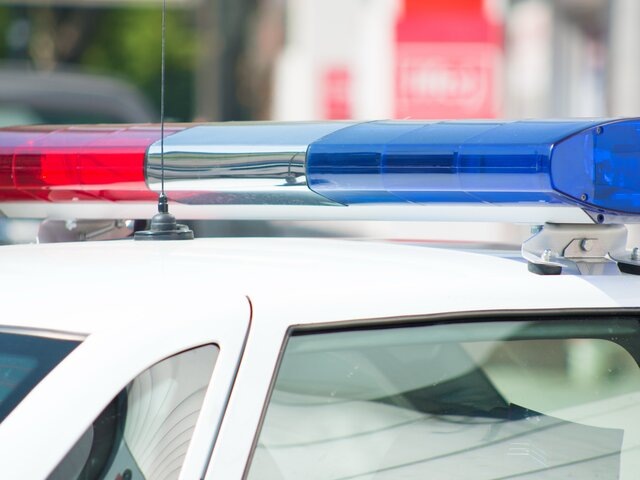    Фото: depositphotos/Emevil