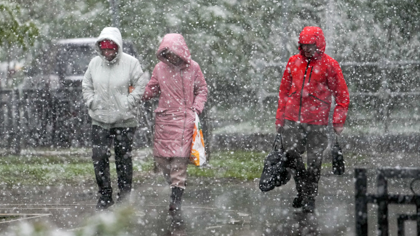    Фото: ИЗВЕСТИЯ/Дмитрий Коротаев
