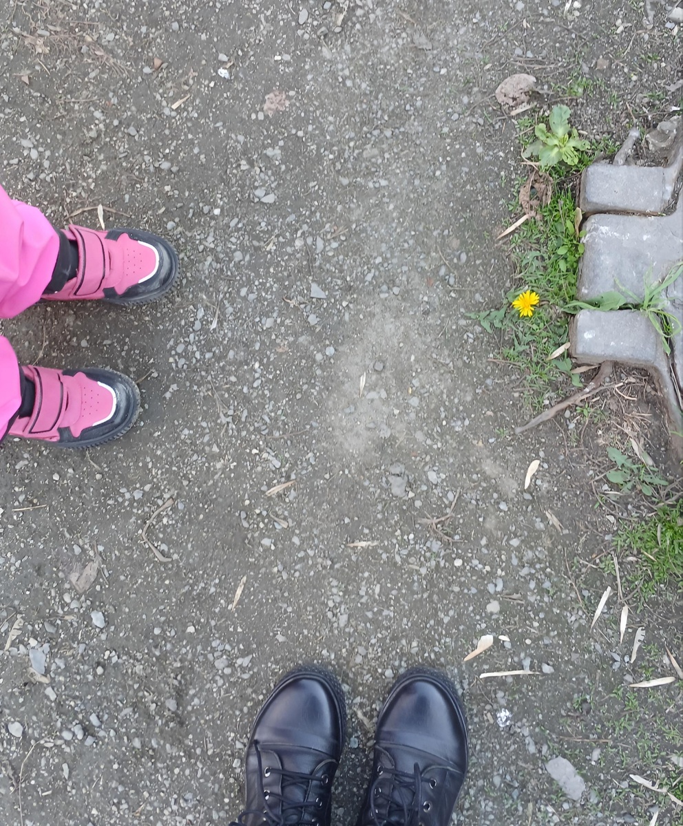 Первый весенний челябинский одуванчик. В конце недели нам обещают снег.