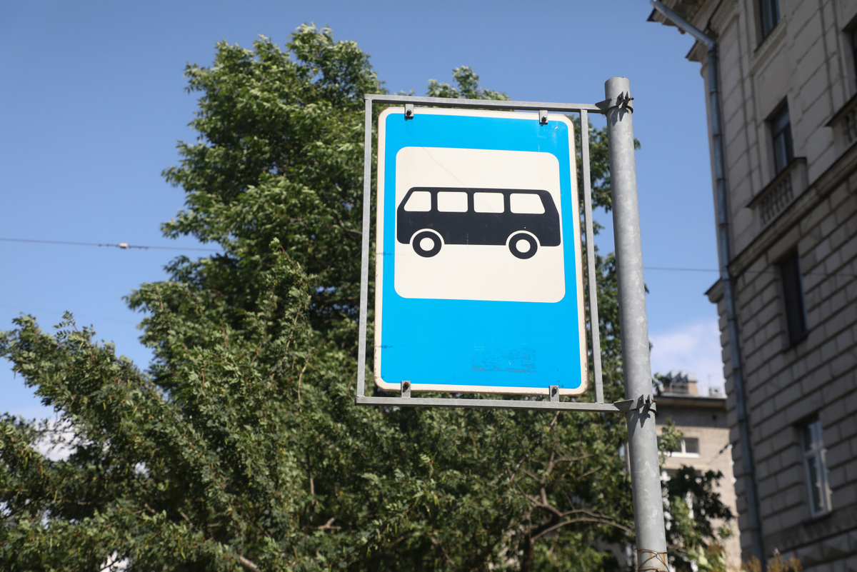 Фото: Александр Глуз