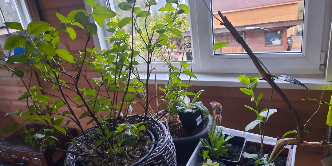 Динамичная весна. Каждую неделю в ,,зале ожидания,, перемены, 06-08.04