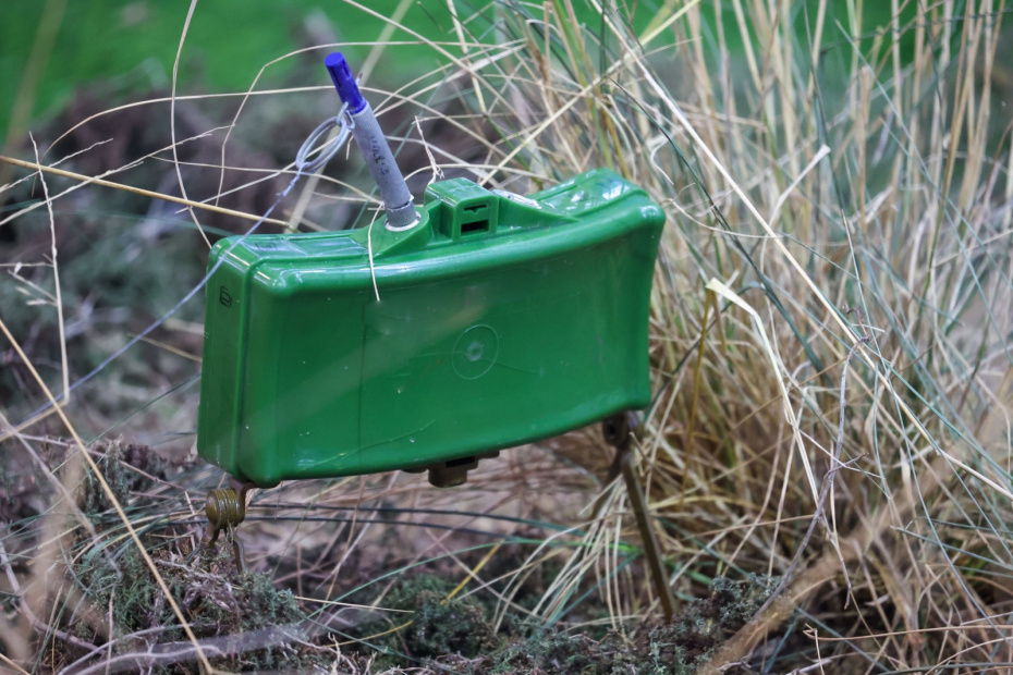    Алексей Белкин/NEWS.ru