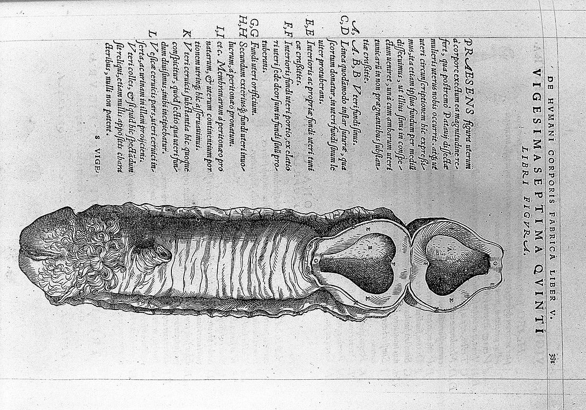 Andreas Vesalius