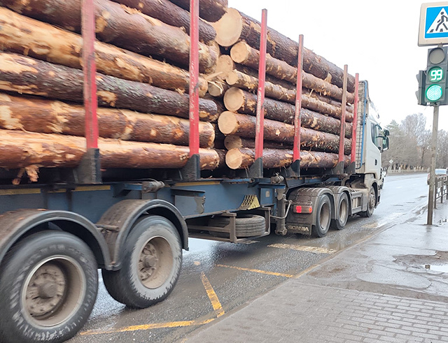 Из Тверской области отправили лес, муку и саженцы в Азию и Европу