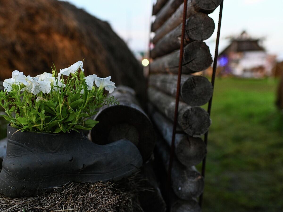    Украшение приусадебного участка | © РИА Новости / Алексей Мальгавко