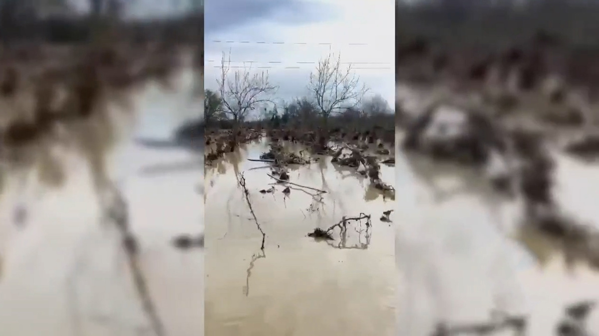    Первый канал