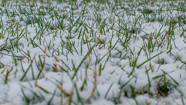 Сколько снега принесёт арктическое вторжение?